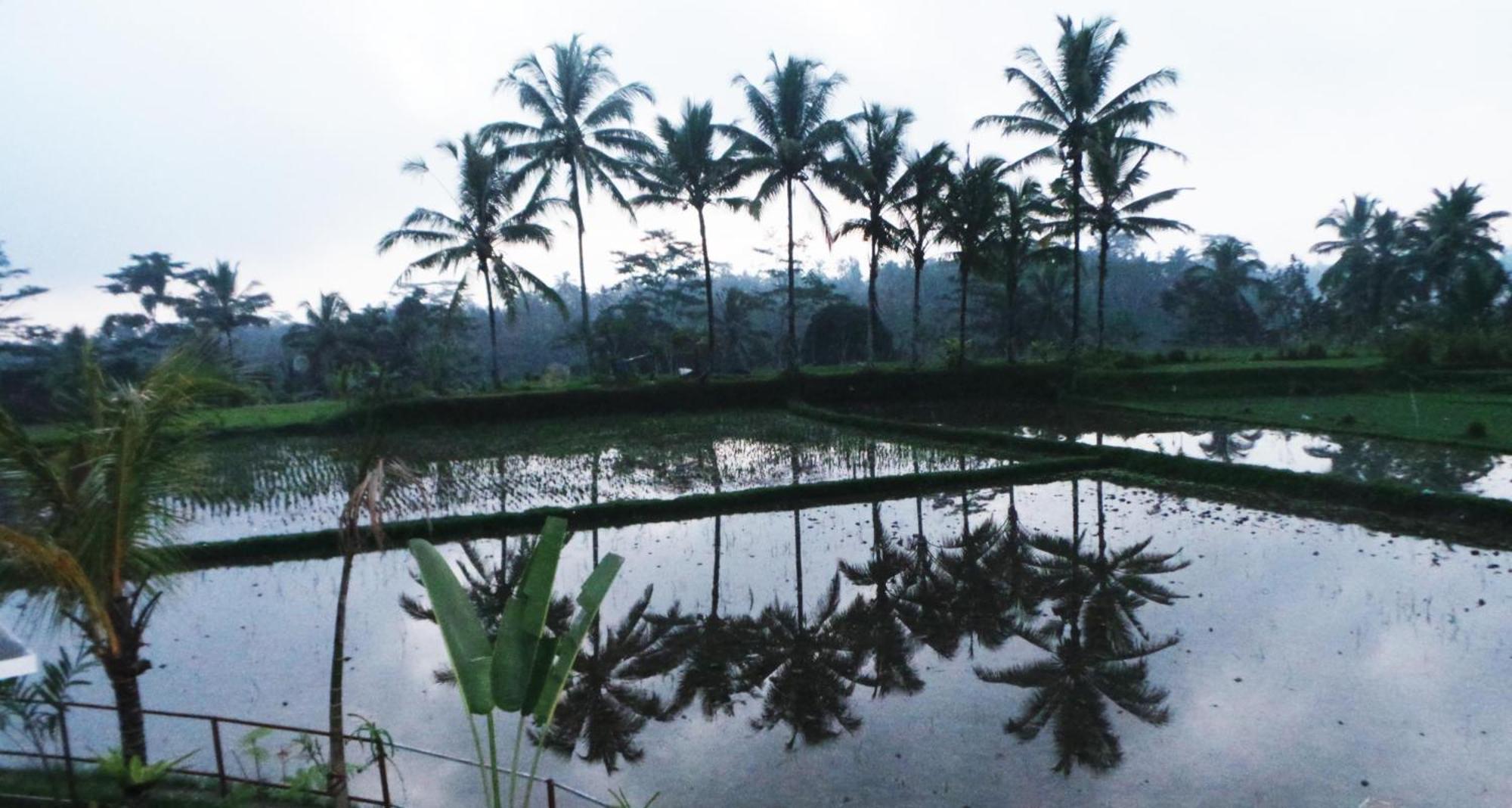 Villa Kemuning Tegallalang  Cameră foto